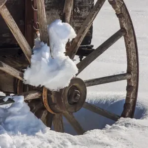 Wagon Wheel in snow, California Wagon Wheel in snow, California