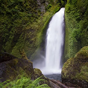 Wahclella Falls along Tanner Creek, Columbia River Gorge, Oregon