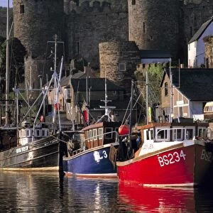 Wales, Conwy Co. Conwy. The setting sun highlights these fishing boats & the Castle