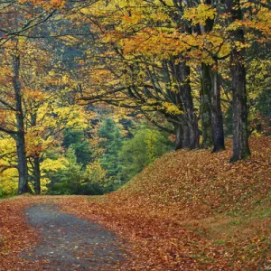 Images Dated 2006 October: 19 Oct 2006