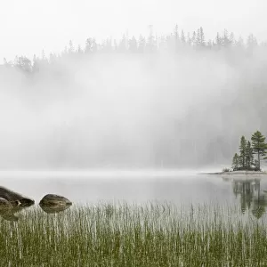 Washington State, Alpine Lakes Wilderness. Snow Lake, Island and fog