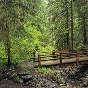 Washington State, Olympic National Park, Sol Duc Valley