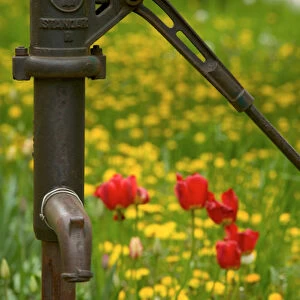 water pump, Czech Republic, Znojmo