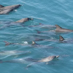 Western Australia, Kimberley Coast, Yampi Sound, Buccaneer Archipelago Western Australia, Kimberley Coast, Yampi Sound, Buccaneer Archipelago