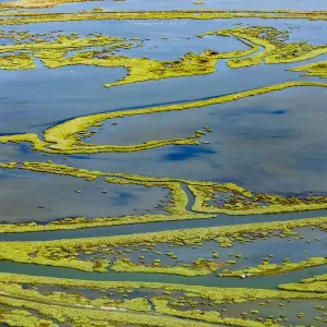Wetland on the Aegean coast, Turkey