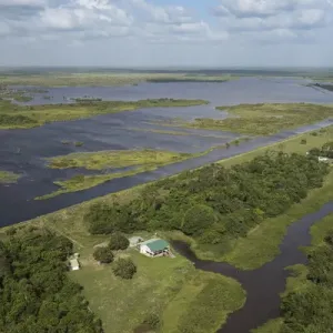 Wetland MMA, Abari Swamps, Mahaica Miconi Abari, GUYANA