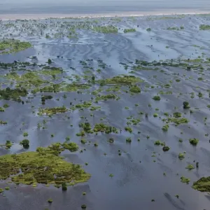 Wetland Shell Beach North GUYANA South America Wetland Shell Beach North GUYANA South America