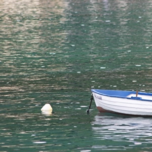 A white and blue rowing boat moored by a white buoy on a green sea. Uvala Sumartin