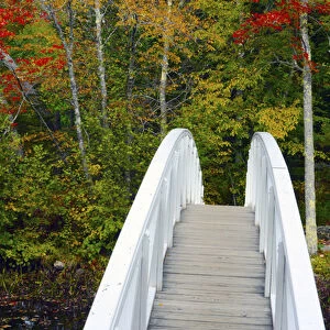 White Footbridge; Autumn; Somesville; Mount Desert Island; Maine; USA