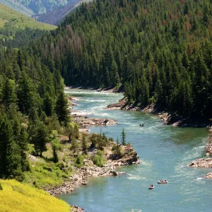 Whitewater rafting down the Snake River in Wyoming. snake, river, snake river