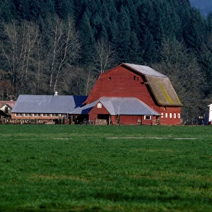 A Willamette Valley farm, with Larwood Bridge in the background, in Lane County, Oregon