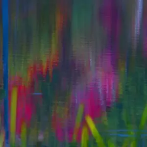 Abstract Pond Reflections Print Abstract Pond Reflections Print