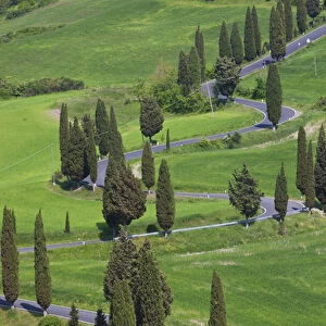 Winding Road, Monticchiello, Tuscany, Italy