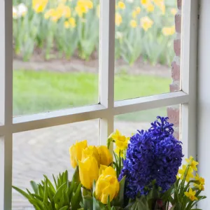 Window with spring flower arrangement