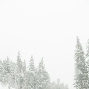 Winter driving conditions on Mount Hood, Oregon, USA