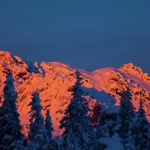 Winter mountain scene, Hurricane Ridge, Olympic National Park, Port Angeles, Washington State, USA Winter mountain scene, Hurricane Ridge, Olympic National Park, Port Angeles, Washington State, USA