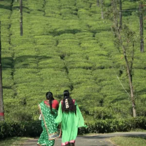 Prints of Asia Prints: India