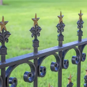 Wrought Iron Fence Print, Austin State Capitol Building