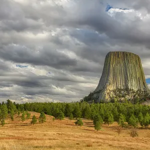 Prints of USA Prints: Wyoming