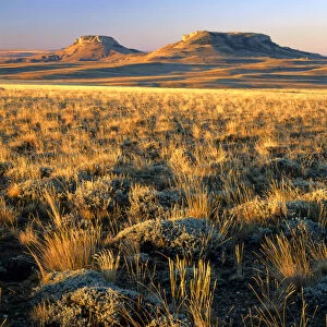 WYOMING. USA. Grasses & sagebrush on Continental Divide at sunrise. Oregon Buttes in distance