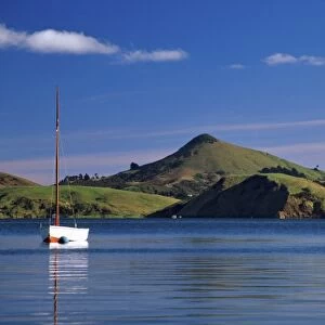 Yacht, Dowling Bay, Otago Harbour. Harbour Cone and Otago Peninsula in background
