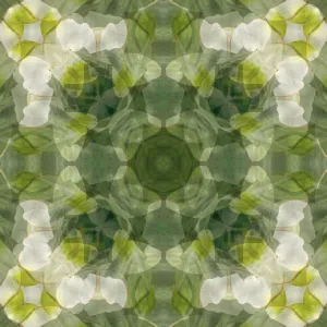 Yellow, green and white floral abstract Yellow, green and white floral abstract
