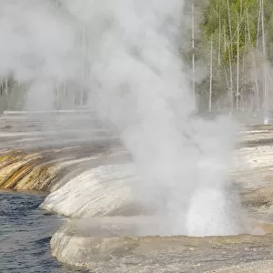 Yellowstone National Park, Biscuit Geyser Basin. Steam rising from the small geysers