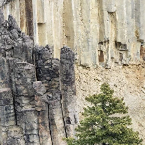 Yellowstone National Park, Wyoming, USA. Rock columns in the canyon north of Tower Fall