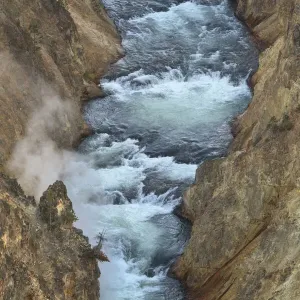 Yellowstone River cutting through colorful rhyolite cliffs, Grand Canyon of the Yellowstone, Yellowstone National Park Yellowstone River cutting through colorful rhyolite cliffs, Grand Canyon of the Yellowstone, Yellowstone National Park