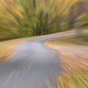 Autumn Country Road Print Autumn Country Road Print