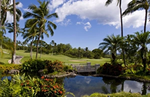 Golf Prints: The 18th hole at Wailea Golf Course, south shore of Maui, Hawaii