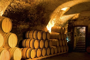 Images Dated 23rd May 2005: 19th Century Wine Cellar, Juanico Winery, Uruguays largest and most award-winning
