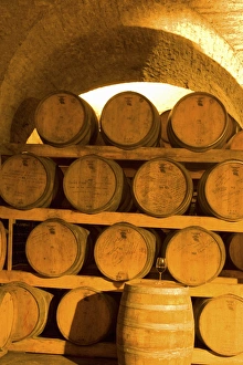 Images Dated 23rd May 2005: 19th Century Wine Cellar, Juanico Winery, Uruguays largest and most award-winning