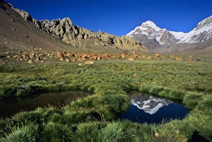 James Kay Prints: 22, 841 summit of Cerro Aconcagua, highest mountain in the Andes, towers above
