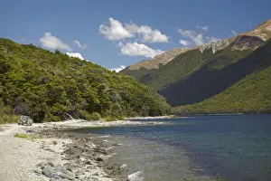Beech Prints: 4WD on track around North Mavora Lake, and Livingstone Mountains, Southland, South Island