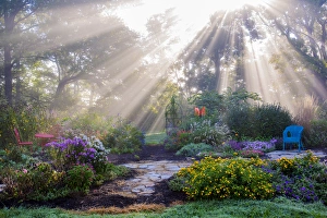 Sun Ray Prints: 63821-23701 Sun rays in fog in flower garden, Marion Co. IL