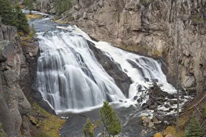 67545-09708 Gibbon Falls at Yellowstone National Park, WY