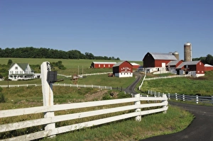 Pennsylvania Prints: A. B. Cole Dairy Farm, Pennsylvania Century Farm, Pennsylvania, United States of America