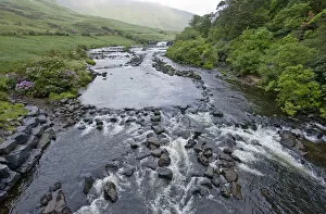 Images Dated 23rd May 2007: Aasleagh Falls, County Mayo, Ireland, stream, water