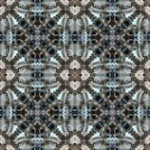 Kaleidoscope Prints: AB01 BJY0279