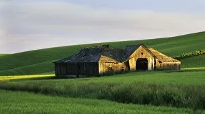 Images Dated 15th November 2007: Abandoned barn in the heart of the Palouse