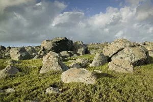 Images Dated 24th January 2006: ABC Islands - ARUBA - Noord: Rock Formations along Northeast Aruba Coast