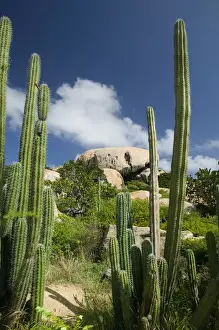 Images Dated 24th January 2006: ABC Islands - ARUBA - Paradera: View of Ayo Rock Formation