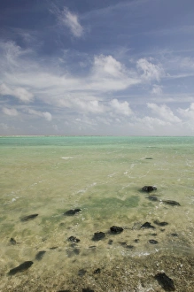 Images Dated 27th January 2006: ABC Islands - BONAIRE - Oranje Pan: The Pelelmeer / Salt Lake