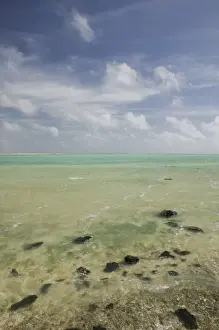 ABC Islands - BONAIRE - Oranje Pan: The Pelelmeer / Salt Lake