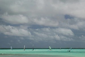 Images Dated 28th January 2006: ABC Islands - BONAIRE - Sorobon Beach: Windsurfing on Lac Bay & Sorobon Beach NR