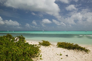 Images Dated 28th January 2006: ABC Islands - BONAIRE - Sorobon Beach: Windsurfing on Lac Bay & Sorobon Beach NR