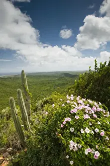 Images Dated 31st January 2006: ABC Islands - CURACAO - Northern Curacao: Christoffel National Park - View of of