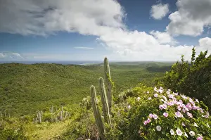Images Dated 31st January 2006: ABC Islands - CURACAO - Northern Curacao: Christoffel National Park - View of of