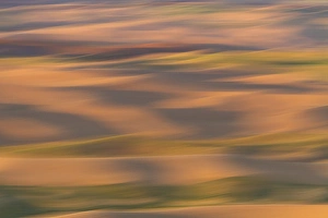 Region Prints: Abstract agricultural fields, Washington